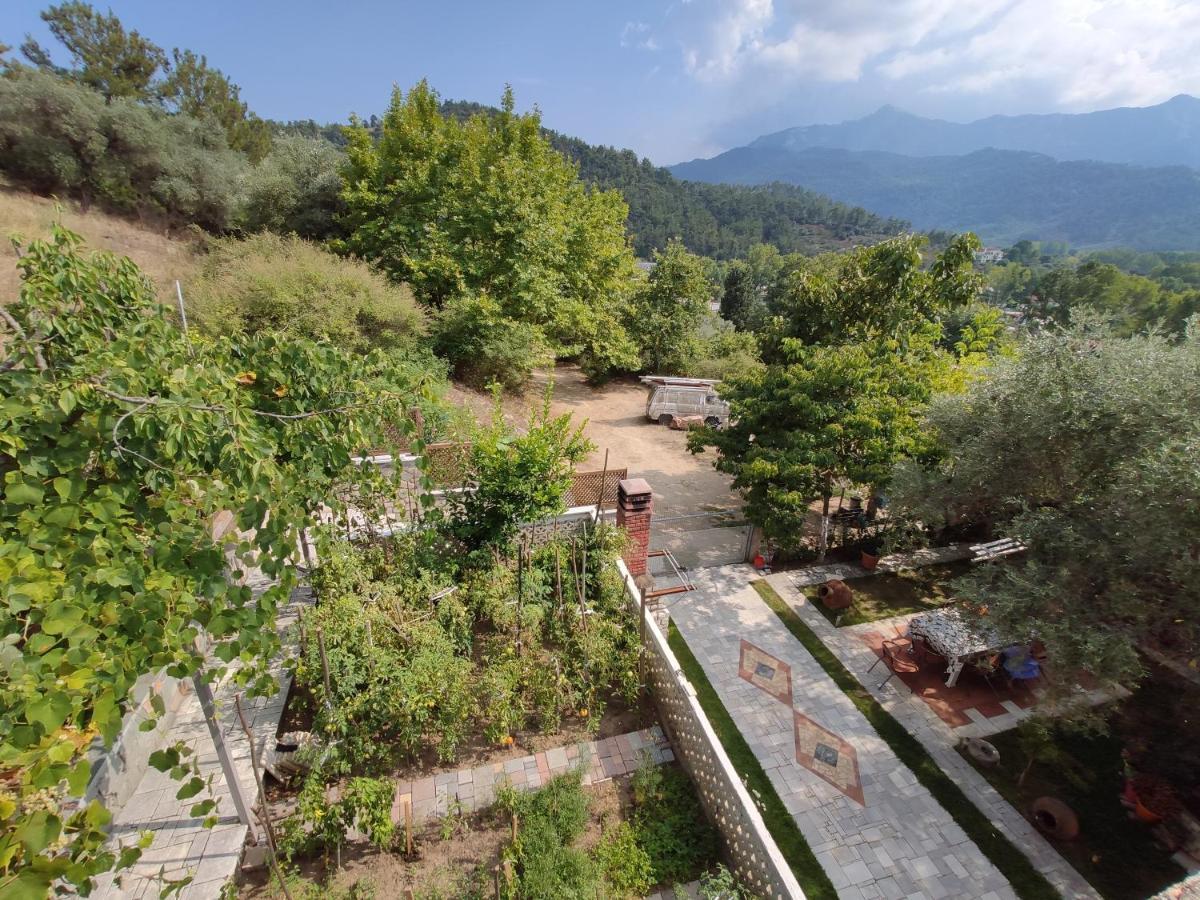 Elpida Apartment Limenas  Buitenkant foto